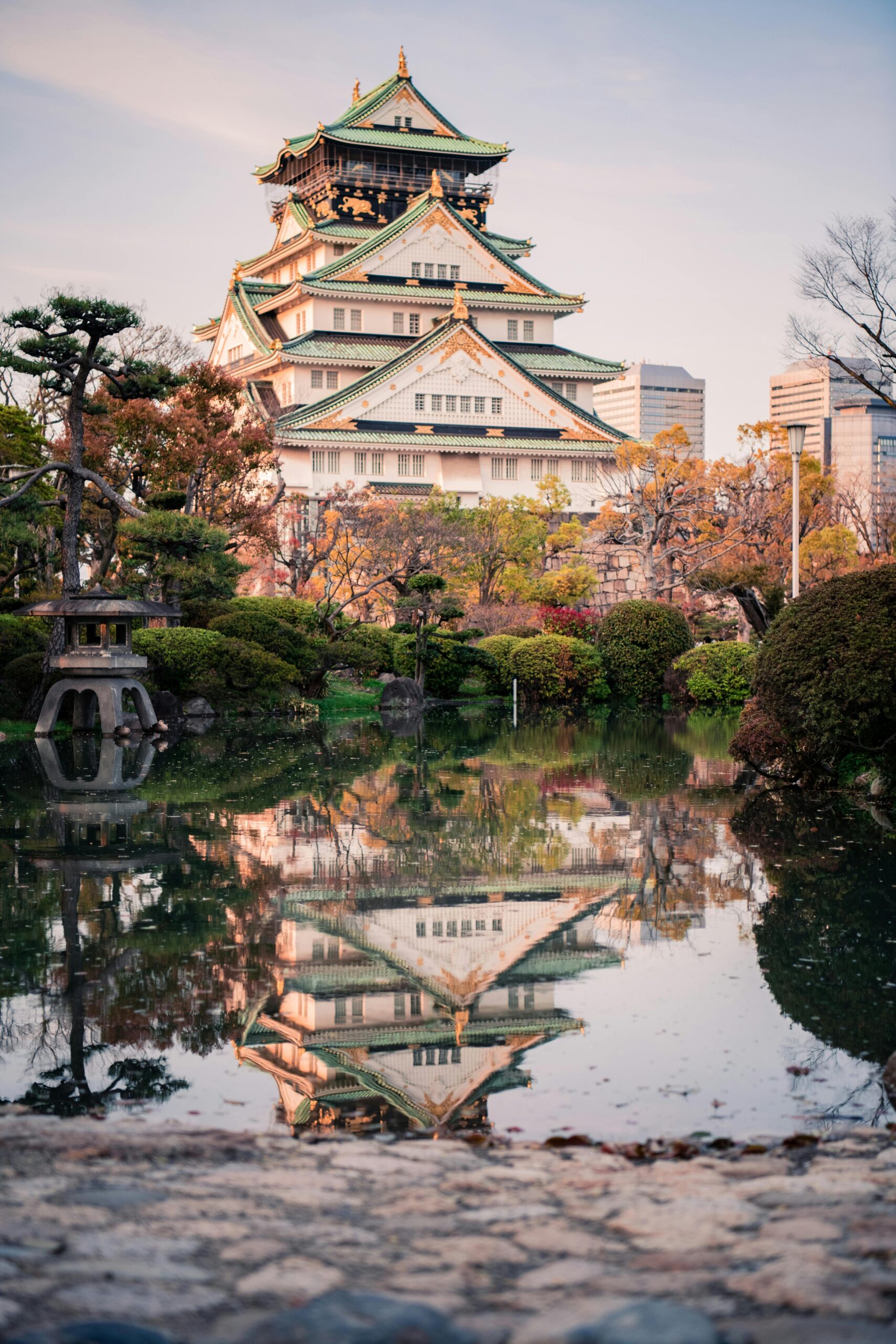 Japan Cherry Blossom Tour 8 Days 7 Nights